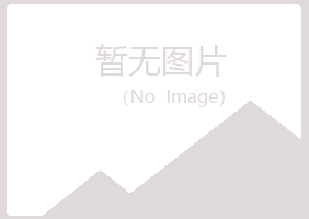 江门山柏律师有限公司